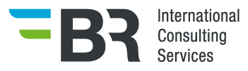 Logo BR International Consulting Services